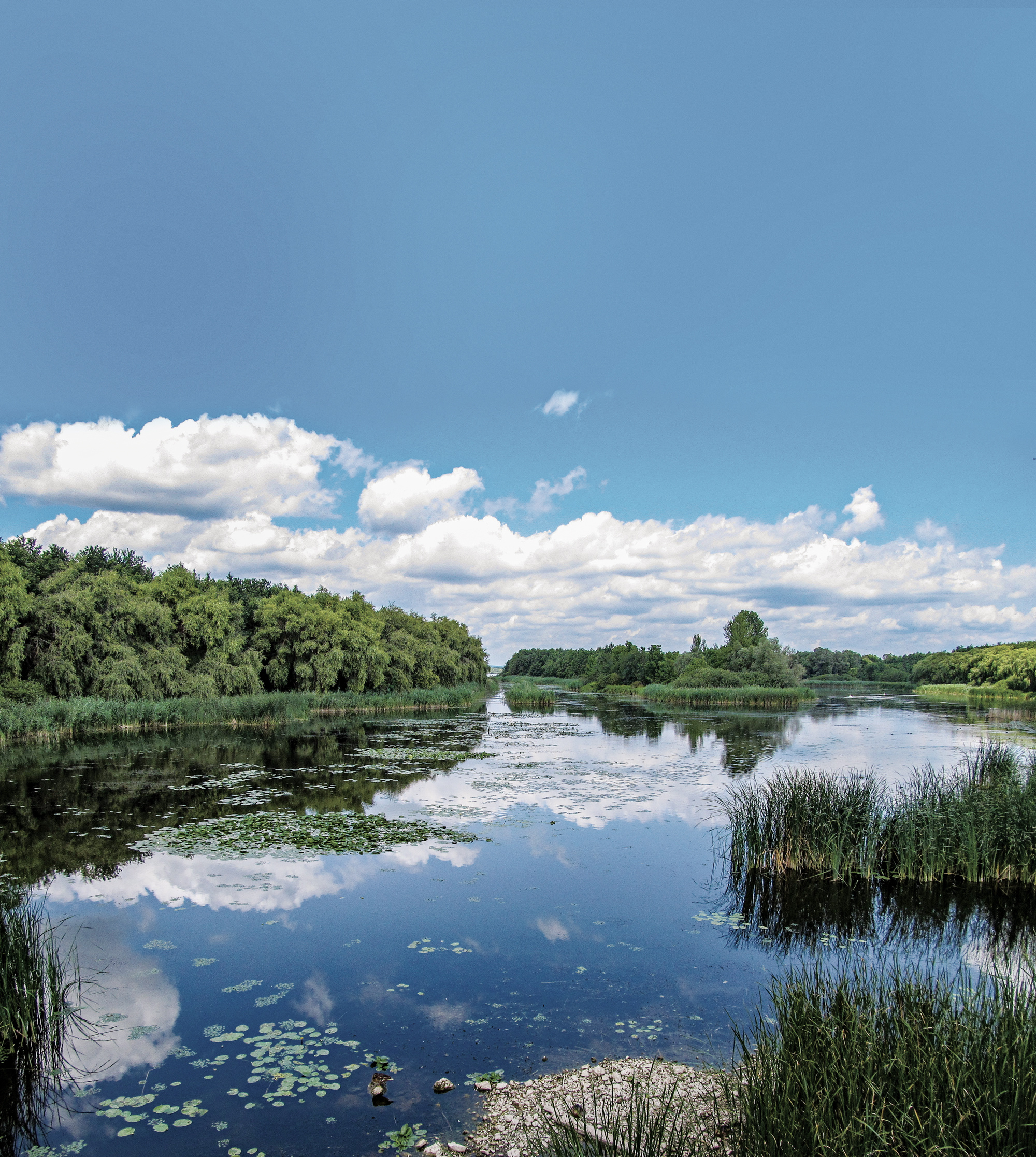 Tutajos nyomában a Kis-Balatonnál