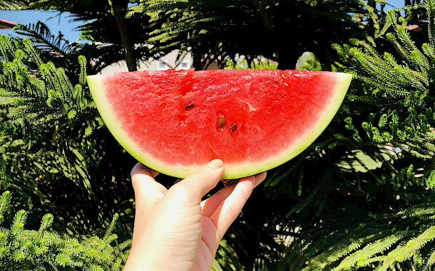 Serenay Gülşen, Unsplash.