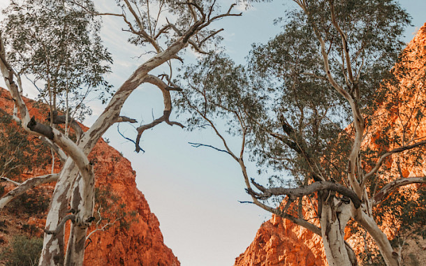 Journey Beyon / The Ghan