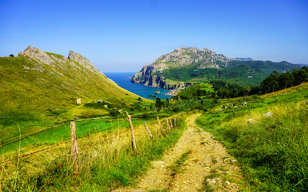 NatureStock1, Shutterstock