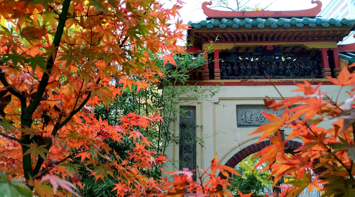 9 különleges múzeum Budapesten, amit még a fővárosiak sem ismernek