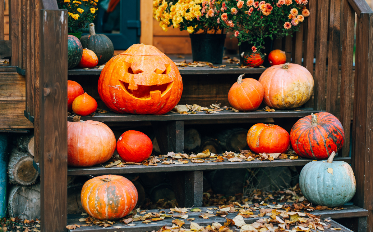 Az ősz legkedveltebb zöldsége, amit a világ 5000 éve nem tud megunni