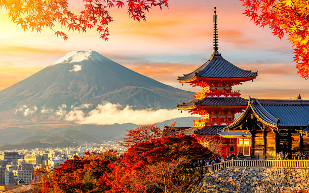 Mistervlad, Shutterstock