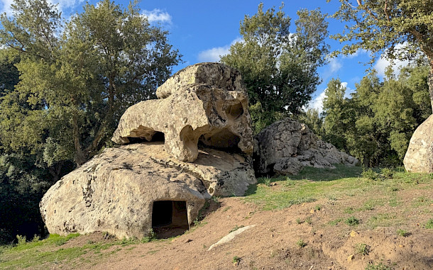 ivan canavera / Shutterstock