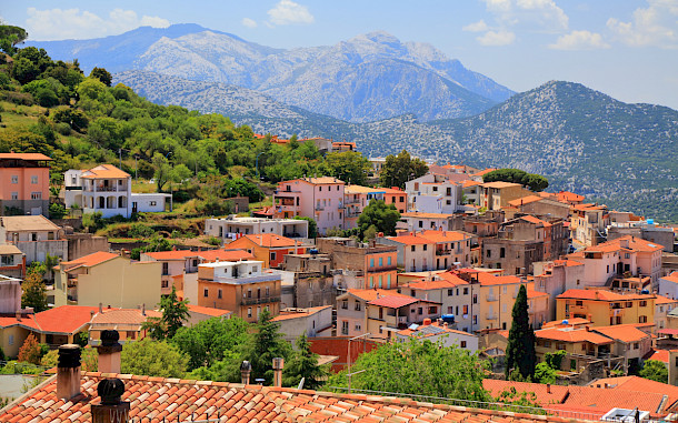 Tupungato/Shutterstock