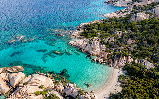 Marisa Estivill/Shutterstock