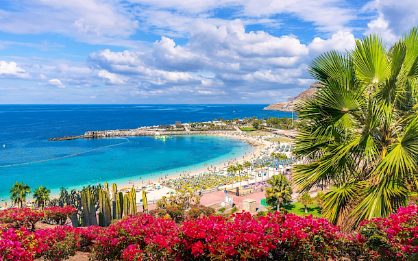 Balate.Dorin / Shutterstock