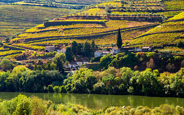 PHOTOGRAPHY IS ON, Shutterstock