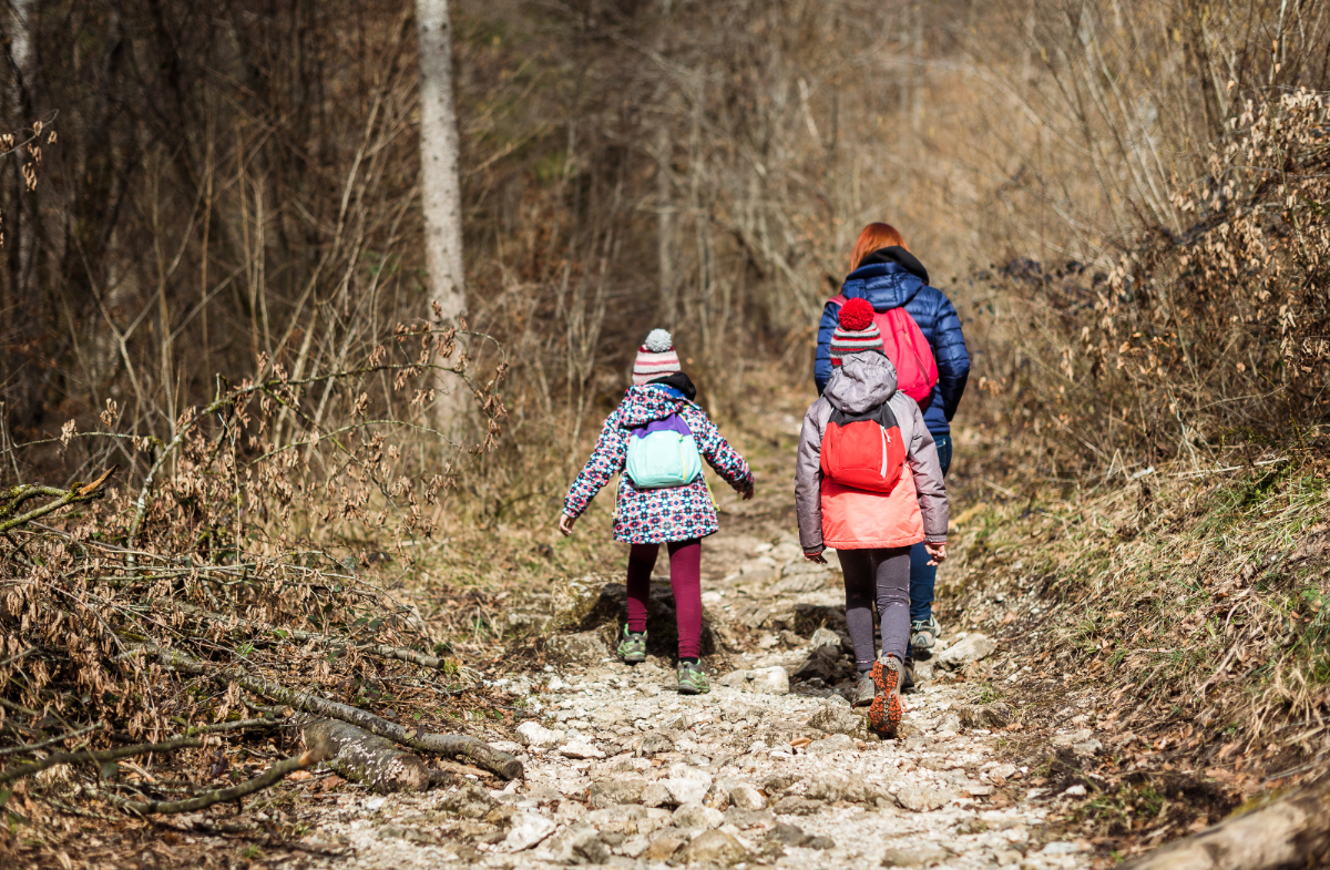 6 könnyű túra Budapest környékén, ha átmozgatnád magad az ünnepek után