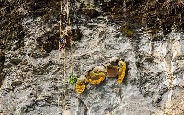 Chandra Man Dongol, Shutterstock
