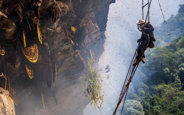 Aaditya Chand, Shutterstock