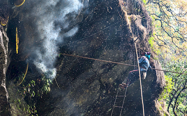 Bivas Shrestha, Shutterstock