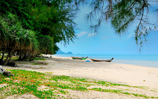 jipatafoto89 / Shutterstock