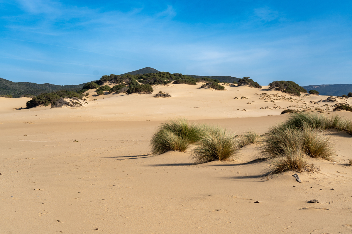 Hihetetlen, de ez az európai sivatag csak két órára van Budapesttől