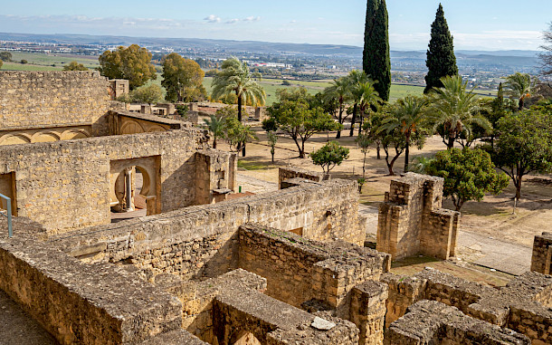 julia.mlozano/Shutterstock