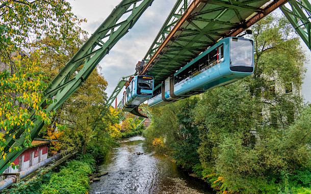 Pajor Pawel, Shutterstock
