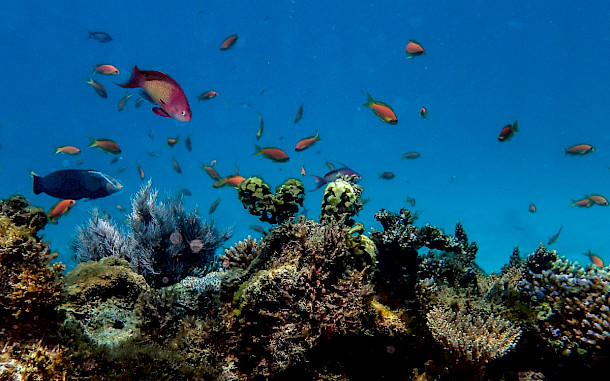 Sara MoArt/Shutterstock