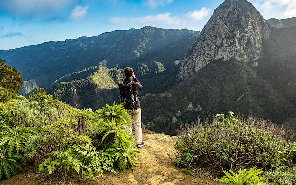Hanneke Wetzer, Shutterstock