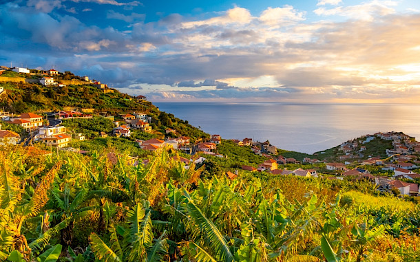 Kochneva Tetyana / Shutterstock