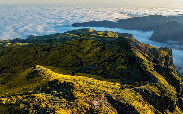 Dmitry Rukhlenko / Shutterstock