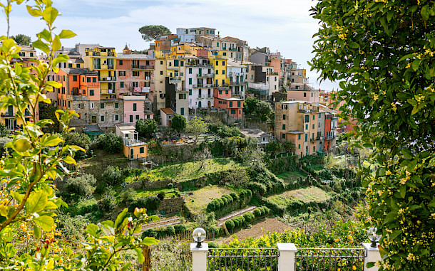 KATE TARTACHNA, Shutterstock