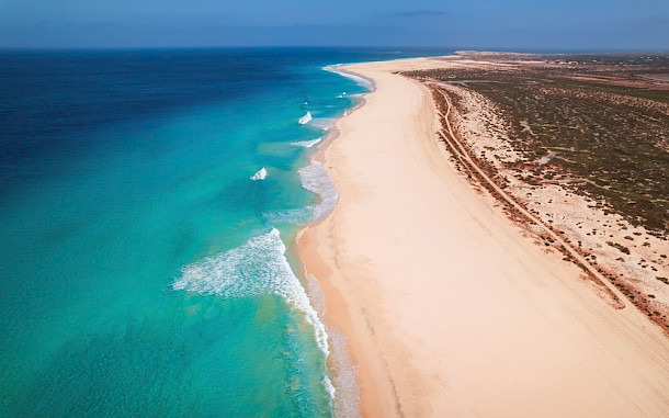 Evgeni Fabisuk / Shutterstock