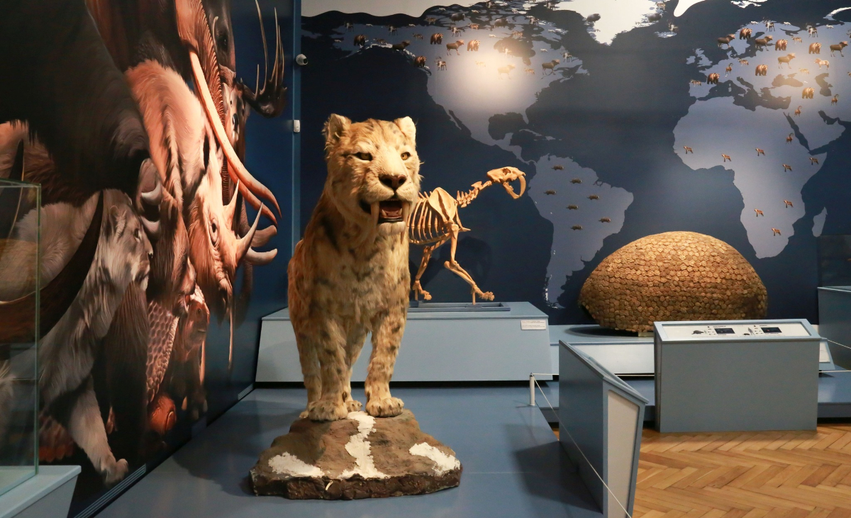 6 vidéki kiállítás, amiért megéri kirándulni tavasszal