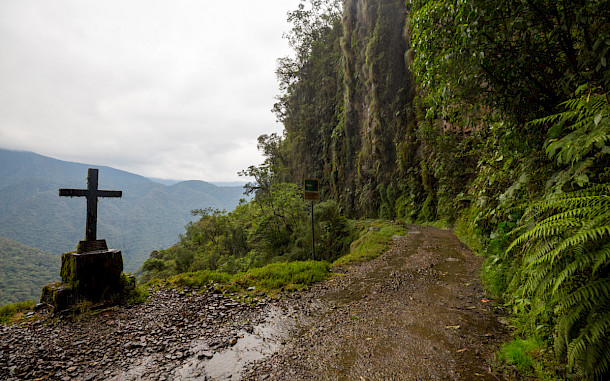 Galyna Andrushko, Shutterstock
