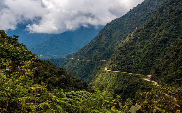 Andrew Clifforth, Shutterstock