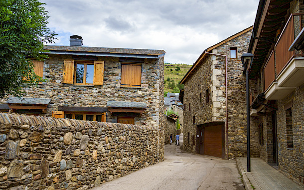 SerFF79 / Shutterstock