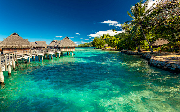 Martin Valigursky/Shutterstock