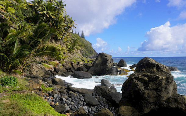 Annalucia/Shutterstock