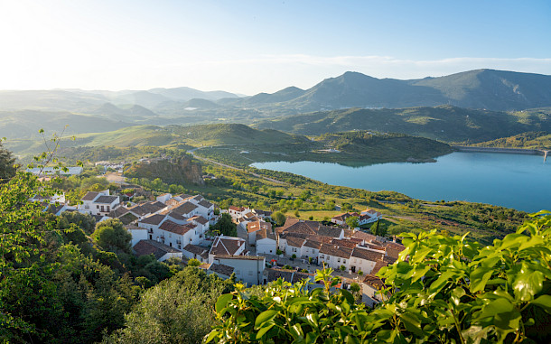 Diego Grandi, Shutterstock