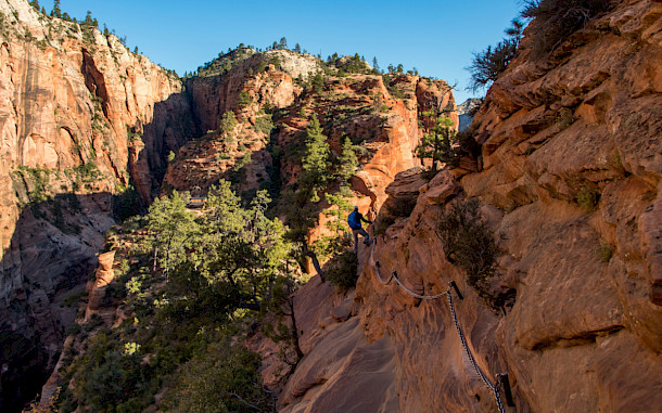 Thomas Roell, Shutterstock