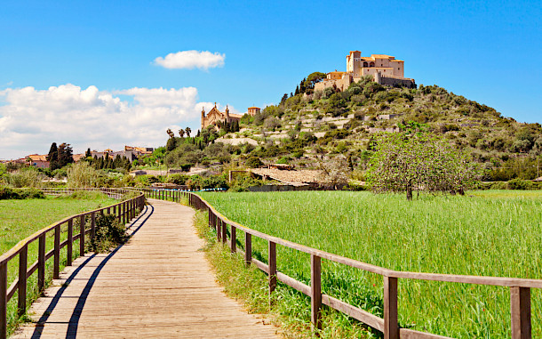 pixelliebe, Shutterstock