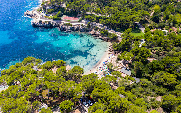 Video Media Studio Europe, Shutterstock