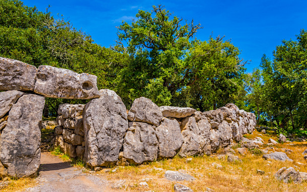 trabantos, Shutterstock