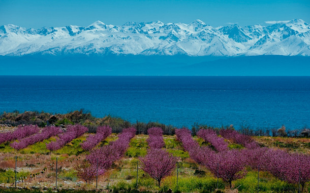 chaossart / Shutterstock