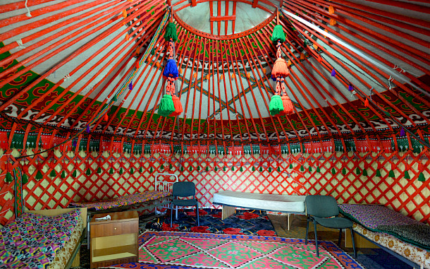 Thiago B Trevisan / Shutterstock