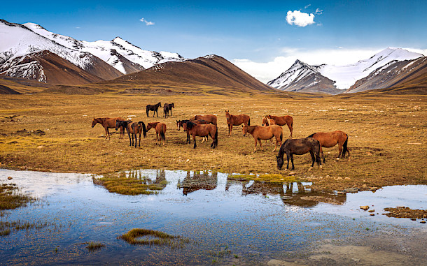 sabine_lj / Shutterstock