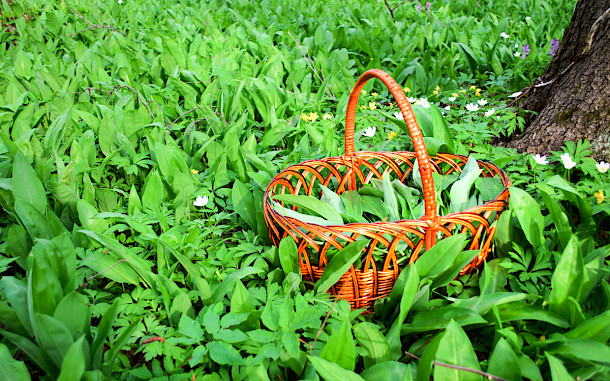 Andrei Dubadzel, Shutterstock