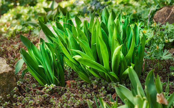 PeopleImages / Shutterstock