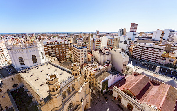 SerFF79 / Shutterstock