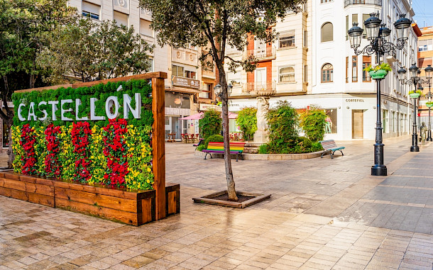 PhotoFires / Shutterstock