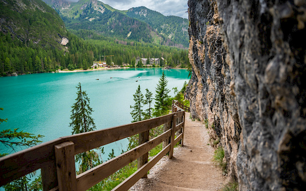 Tatiana Diuvbanova, Shutterstock