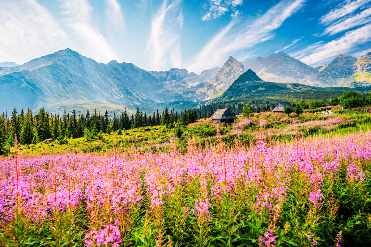 Mostantól százezer forintodba is kerülhet egy fotó a Tátrában