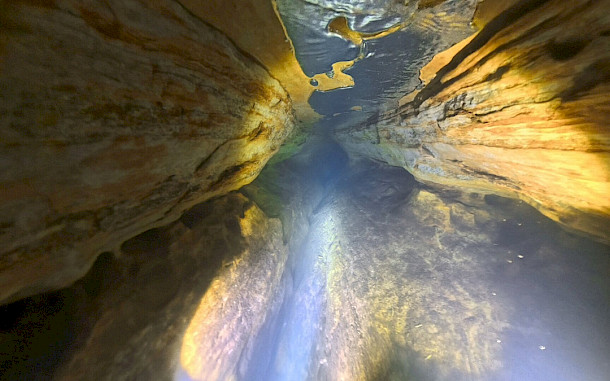 Sinka G&aacute;bor / BfNPI