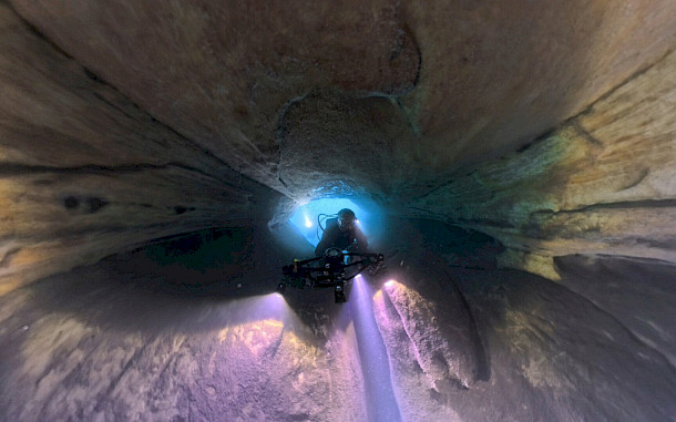 Sinka G&aacute;bor / BfNPI