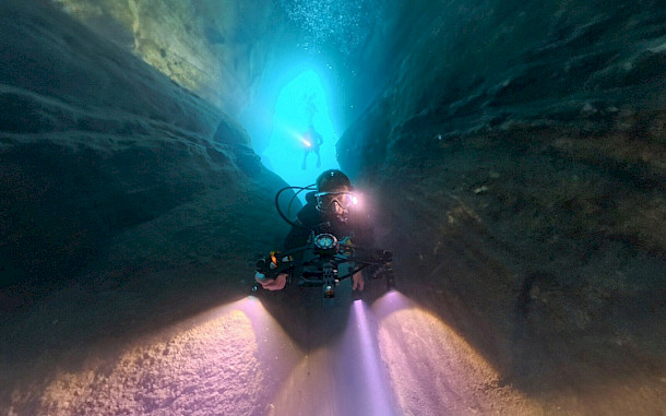 Sinka G&aacute;bor / BfNPI