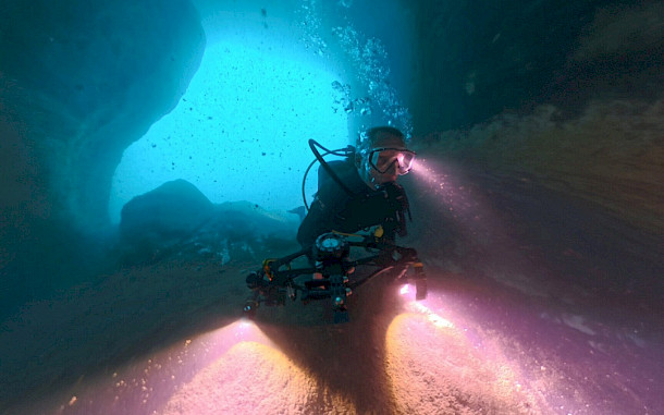 Sinka G&aacute;bor / BfNPI